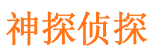 根河市私家侦探